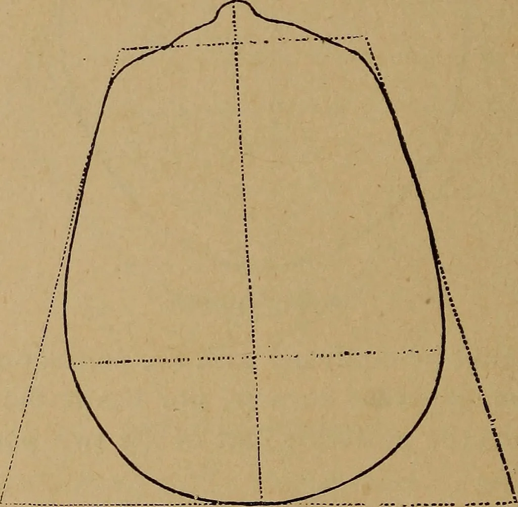 An illustration from The varieties of the human species: principles and method of classification, 1894, leaf 35