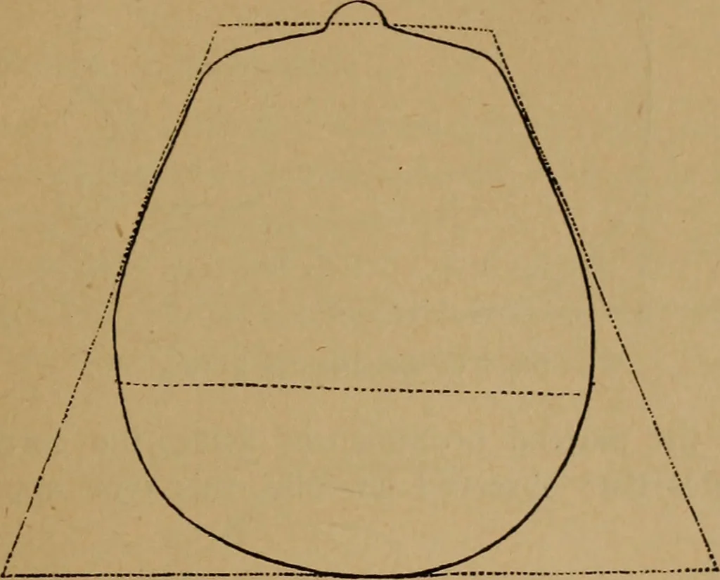 An illustration from The varieties of the human species: principles and method of classification, 1894, leaf 36