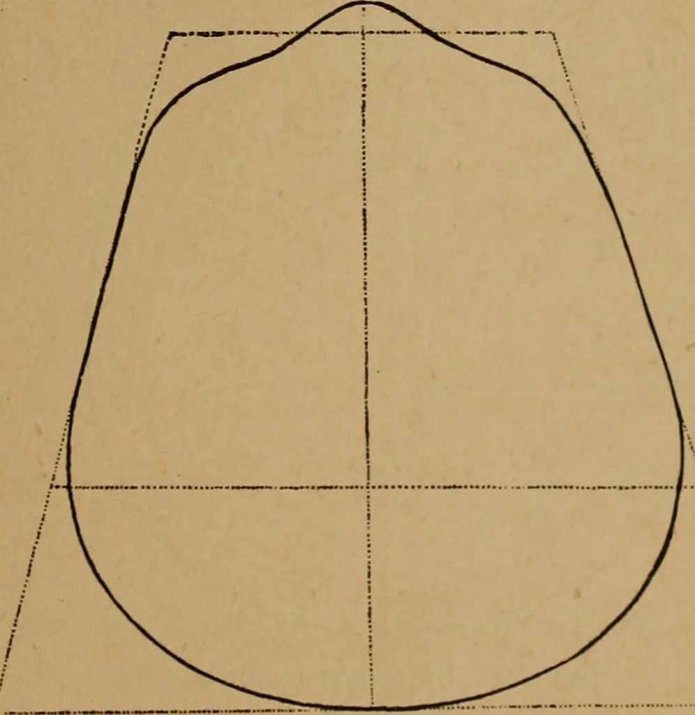 An illustration from The varieties of the human species: principles and method of classification, 1894, leaf 36