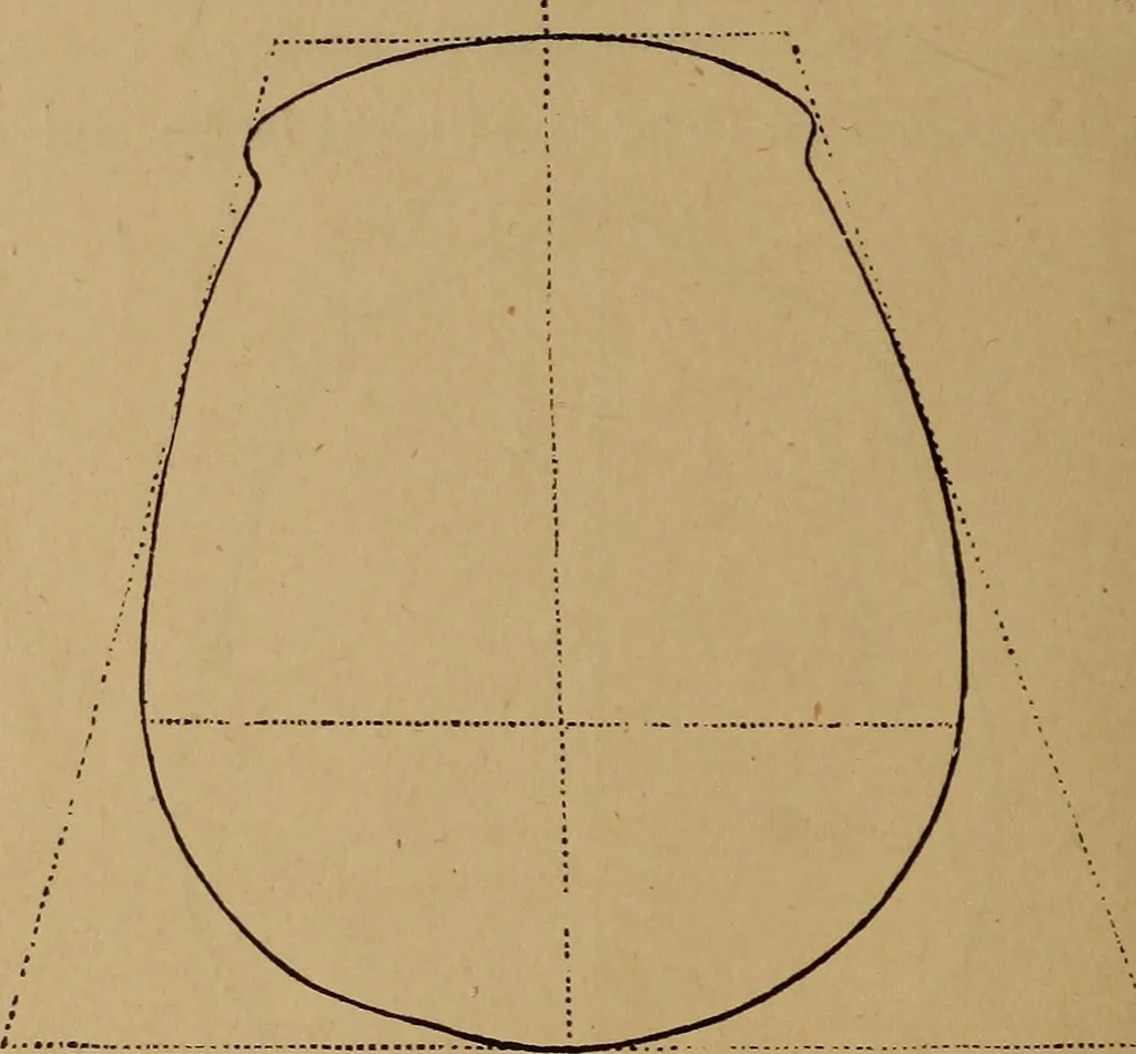 An illustration from The varieties of the human species: principles and method of classification, 1894, leaf 37