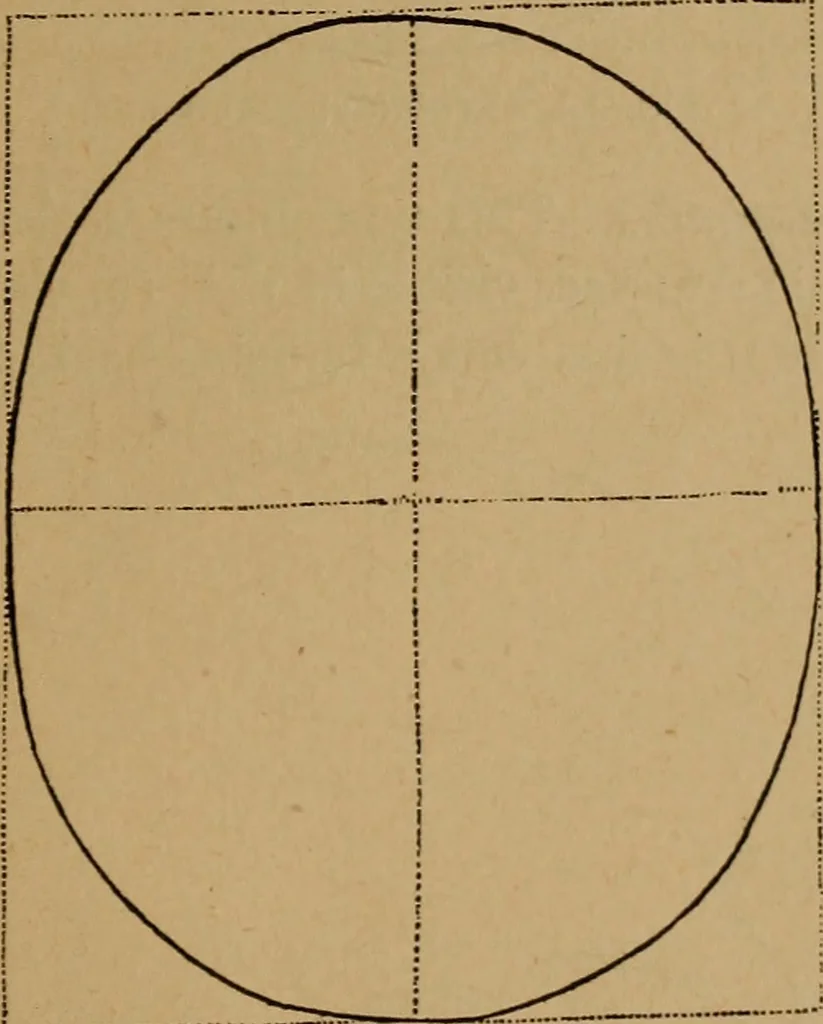An illustration from The varieties of the human species: principles and method of classification, 1894, leaf 38