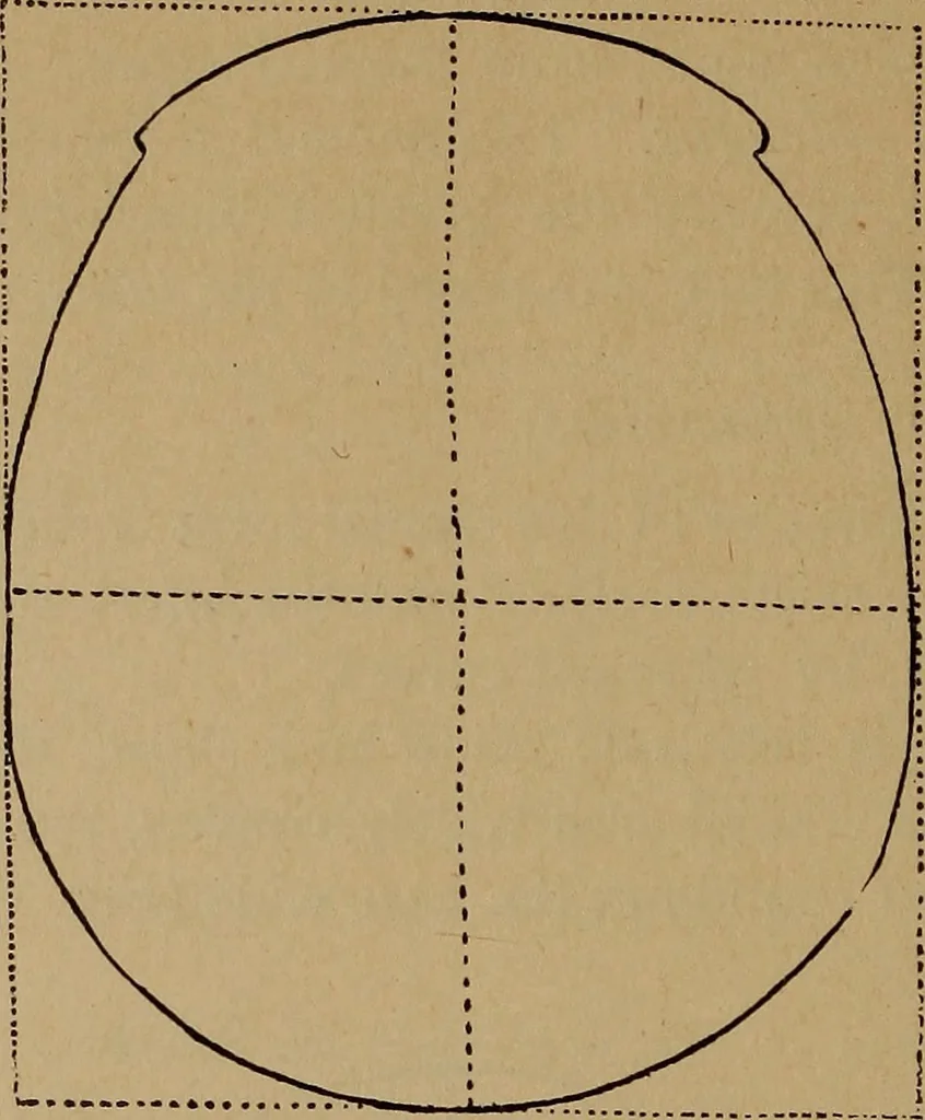 An illustration from The varieties of the human species: principles and method of classification, 1894, leaf 39