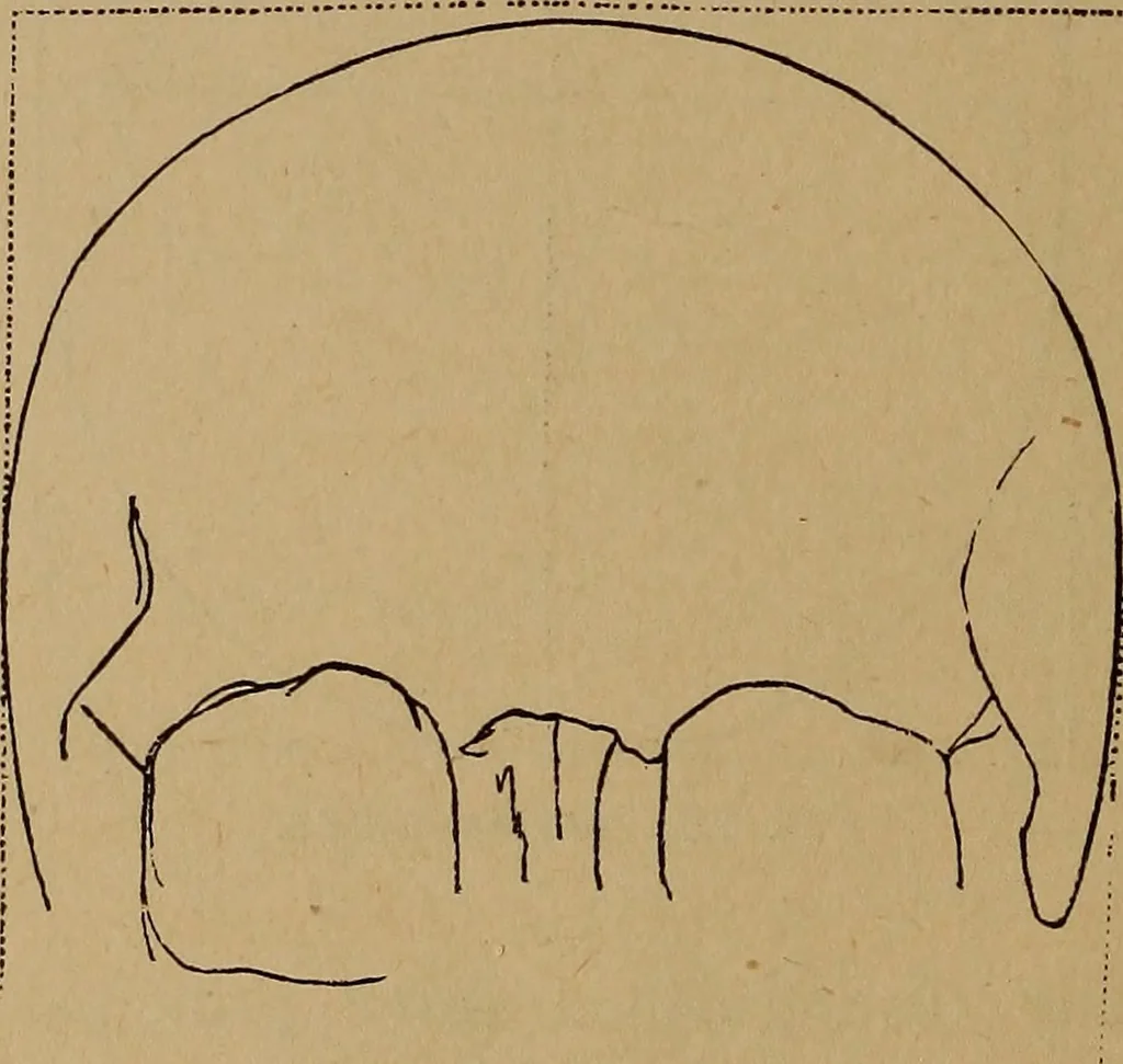 An illustration from The varieties of the human species: principles and method of classification, 1894, leaf 39