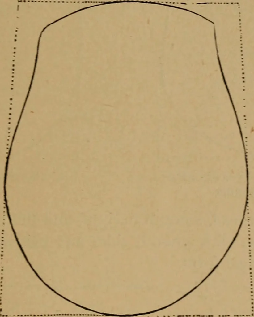 An illustration from The varieties of the human species: principles and method of classification, 1894, leaf 40