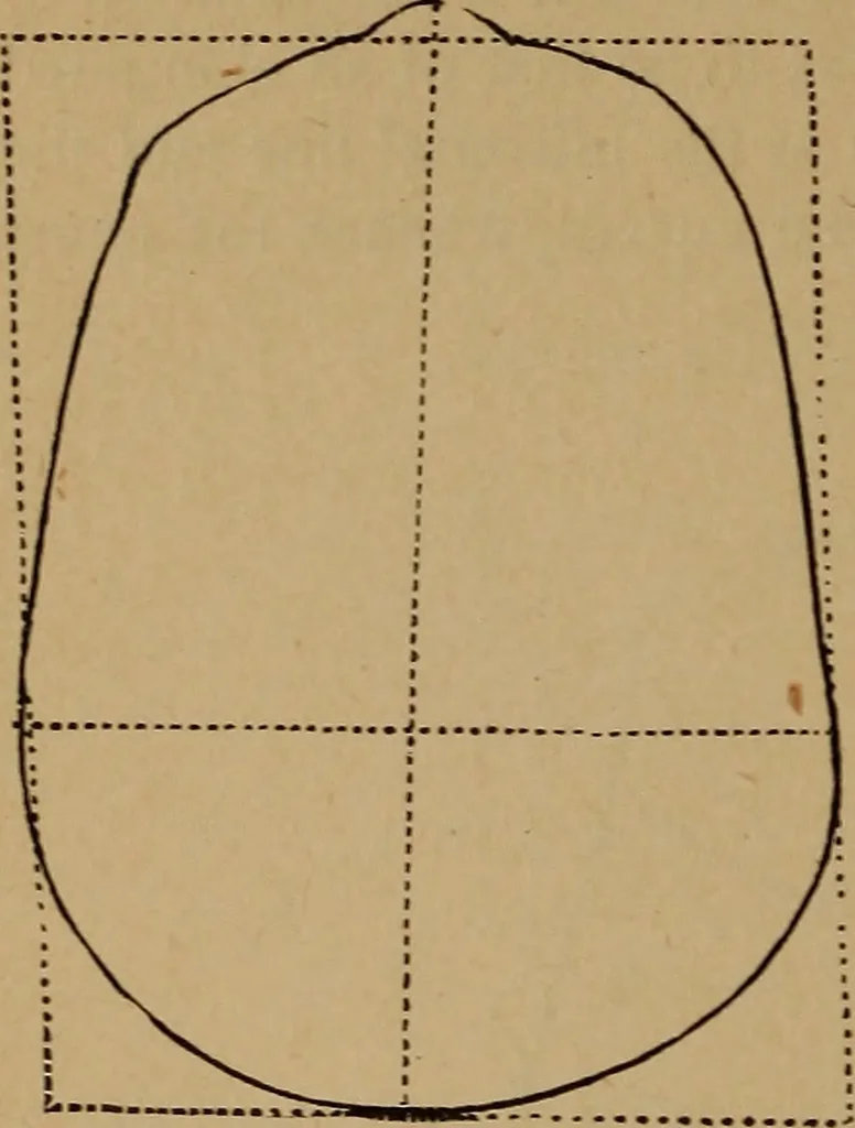 An illustration from The varieties of the human species: principles and method of classification, 1894, leaf 41