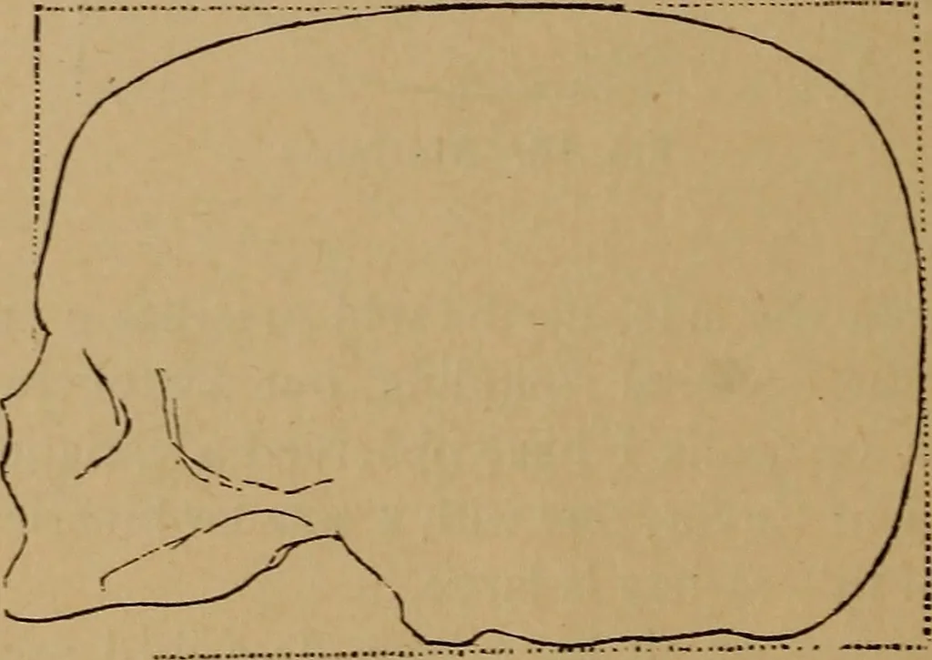 An illustration from The varieties of the human species: principles and method of classification, 1894, leaf 41