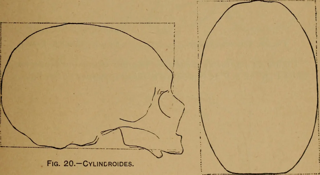 An illustration from The varieties of the human species: principles and method of classification, 1894, leaf 42