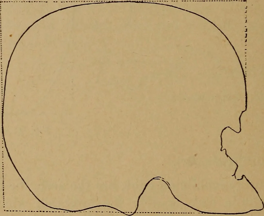 An illustration from The varieties of the human species: principles and method of classification, 1894, leaf 43