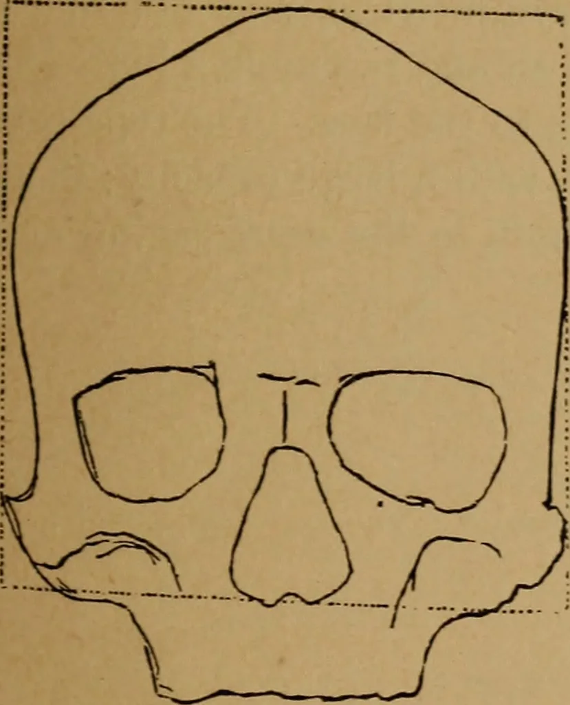 An illustration from The varieties of the human species: principles and method of classification, 1894, leaf 46