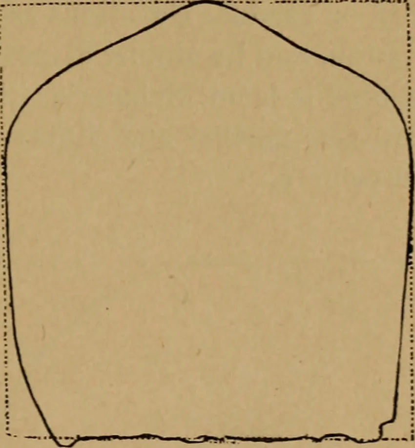 An illustration from The varieties of the human species: principles and method of classification, 1894, leaf 46