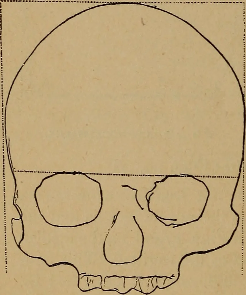 An illustration from The varieties of the human species: principles and method of classification, 1894, leaf 47