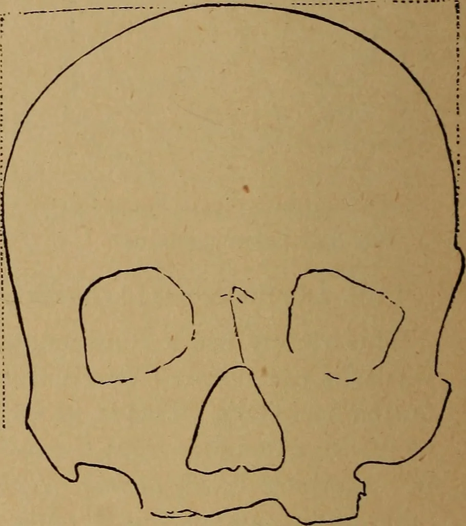 An illustration from The varieties of the human species: principles and method of classification, 1894, leaf 47