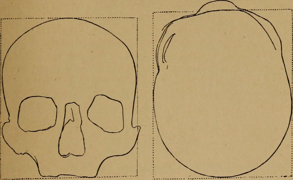 An illustration from The varieties of the human species: principles and method of classification, 1894, leaf 48