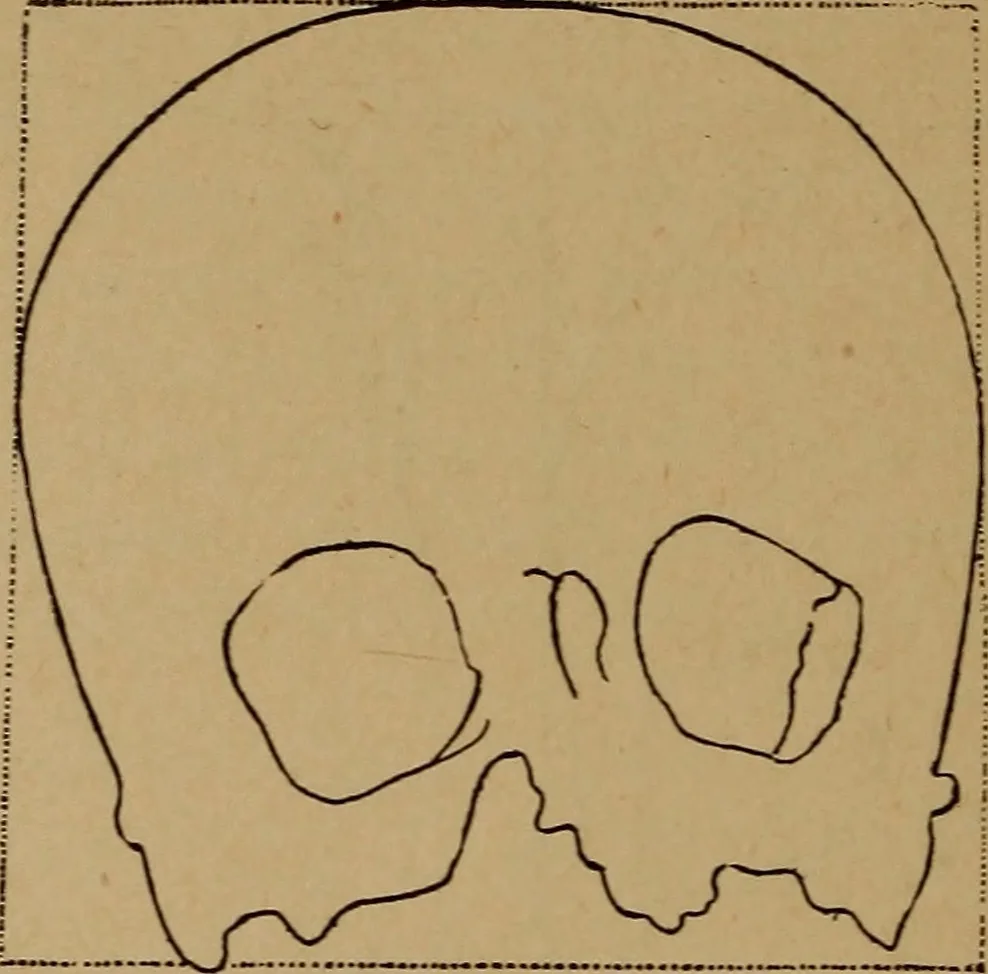 An illustration from The varieties of the human species: principles and method of classification, 1894, leaf 49