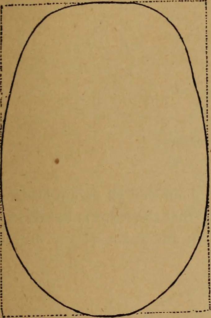 An illustration from The varieties of the human species: principles and method of classification, 1894, leaf 52