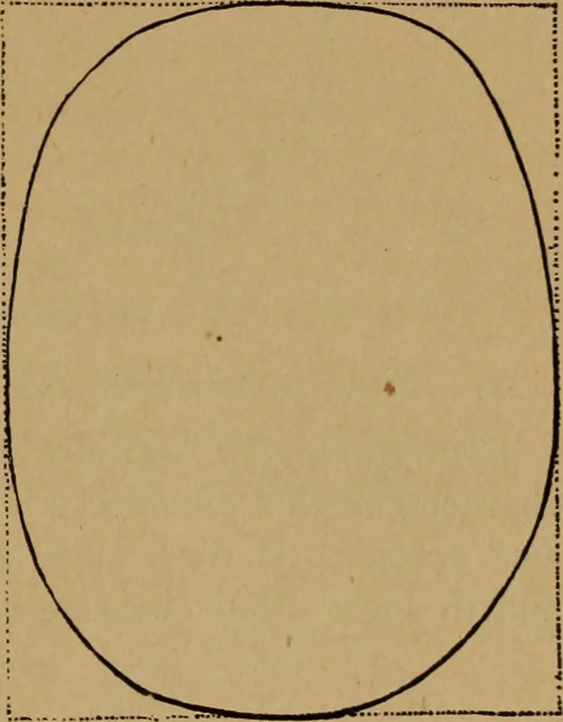 An illustration from The varieties of the human species: principles and method of classification, 1894, leaf 52