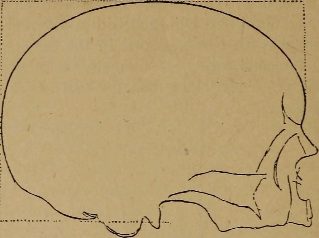 An illustration from The varieties of the human species: principles and method of classification, 1894, leaf 53