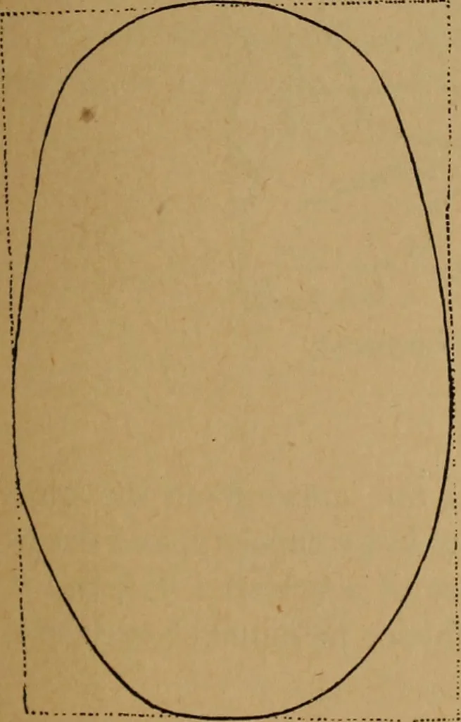 An illustration from The varieties of the human species: principles and method of classification, 1894, leaf 54