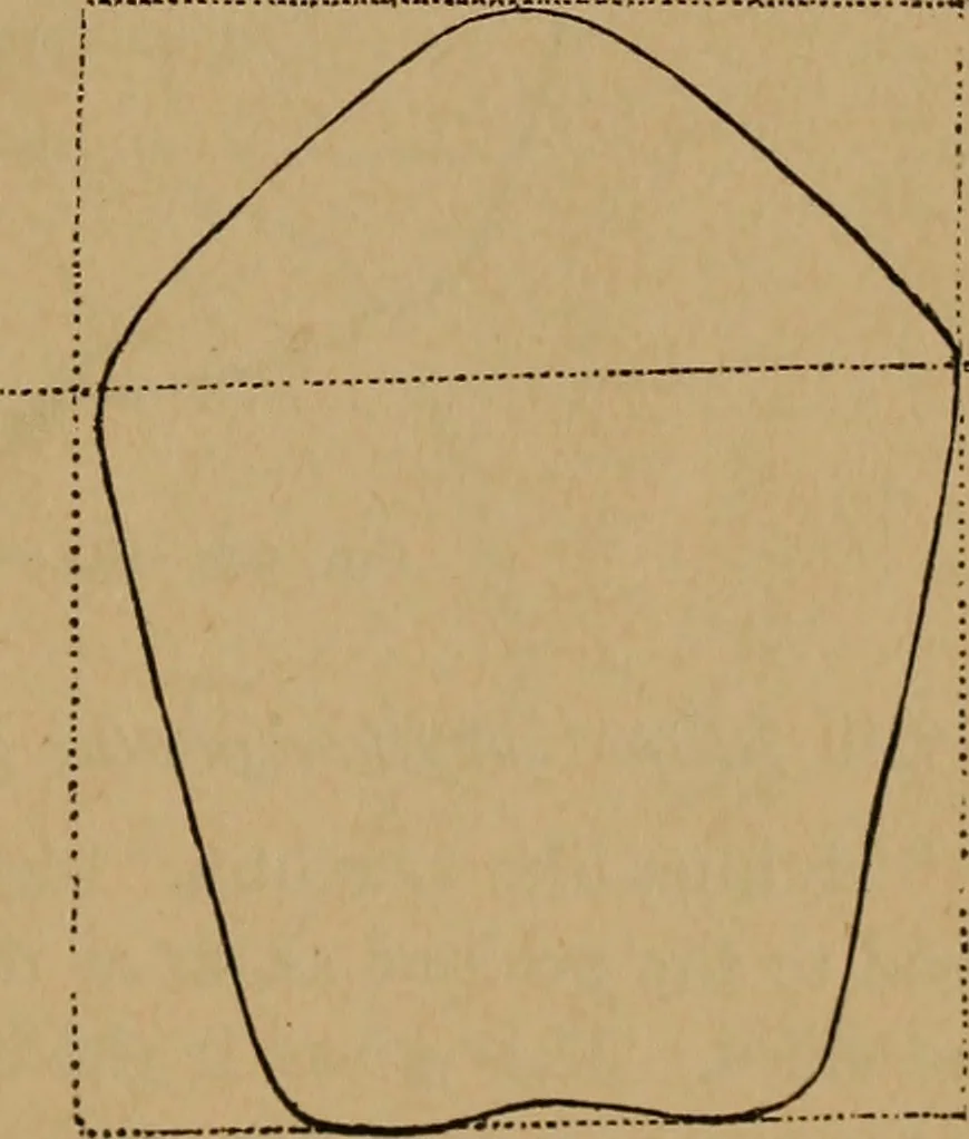 An illustration from The varieties of the human species: principles and method of classification, 1894, leaf 54