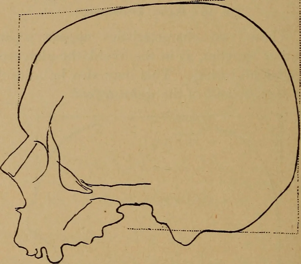 An illustration from The varieties of the human species: principles and method of classification, 1894, leaf 57
