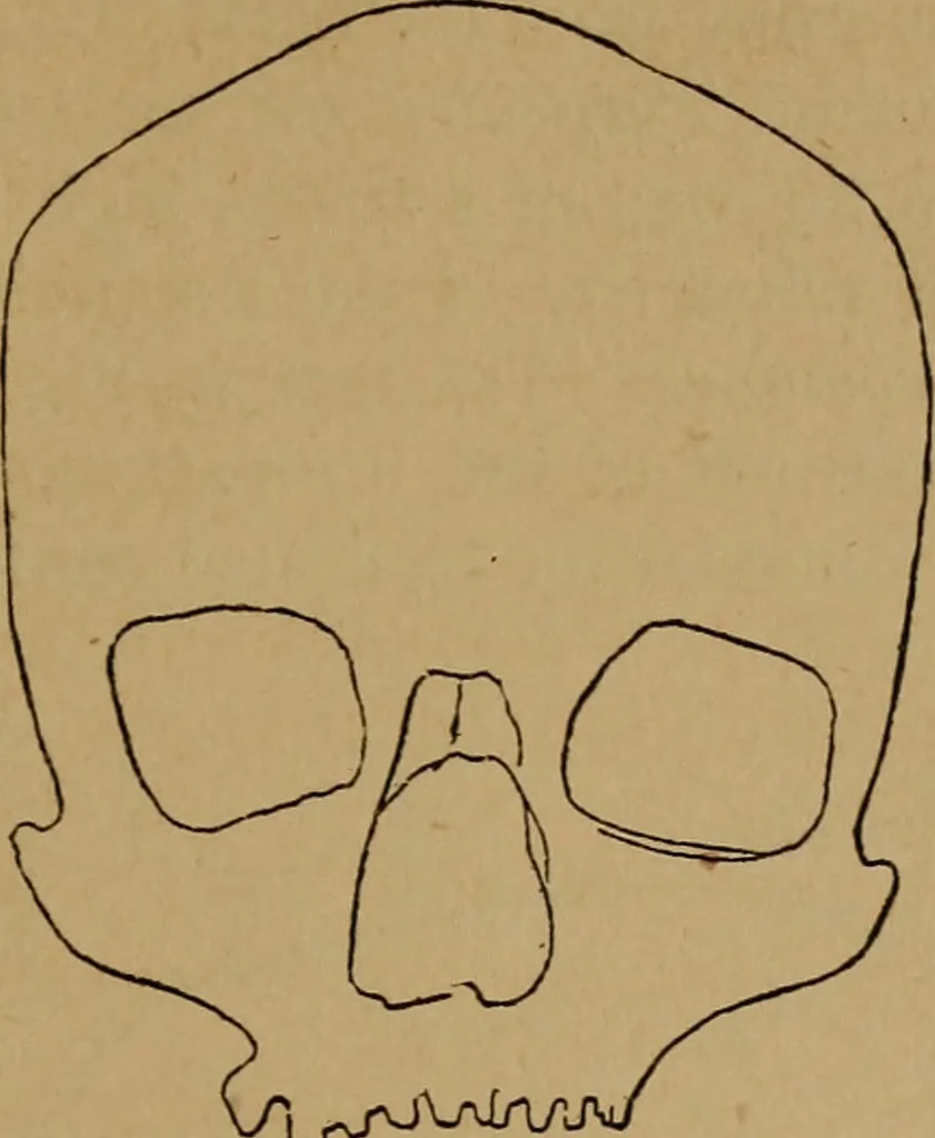 An illustration from The varieties of the human species: principles and method of classification, 1894, leaf 58