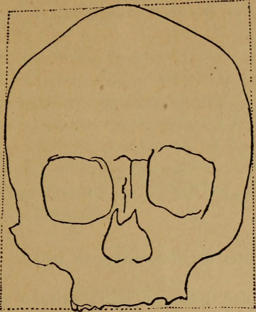 An illustration from The varieties of the human species: principles and method of classification, 1894, leaf 60