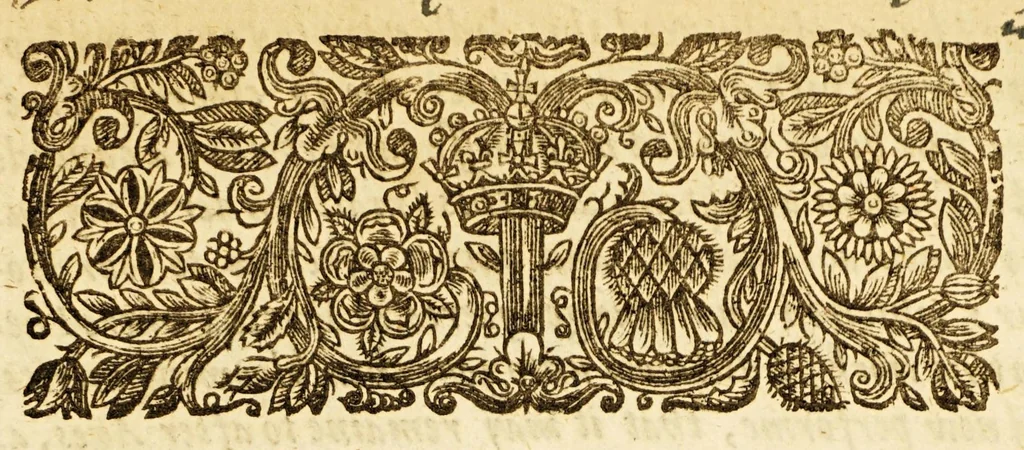 An illustration from Varieties: or, A surveigh of rare and excellent matters, : necessary and delectable for all sorts of persons. Wherein the principall heads of diverse sciences are illustrated, rare secrets of naturall things unfoulded, &c. Digested into five books, whose severall chapters with their contents are to be seene in the table after the epistle dedicatory., 1635, leaf 219