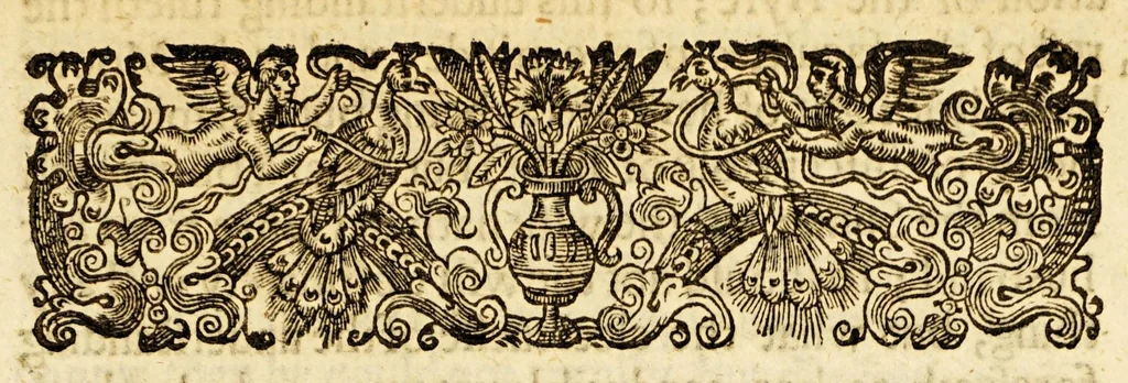 An illustration from Varieties: or, A surveigh of rare and excellent matters, : necessary and delectable for all sorts of persons. Wherein the principall heads of diverse sciences are illustrated, rare secrets of naturall things unfoulded, &c. Digested into five books, whose severall chapters with their contents are to be seene in the table after the epistle dedicatory., 1635, leaf 249