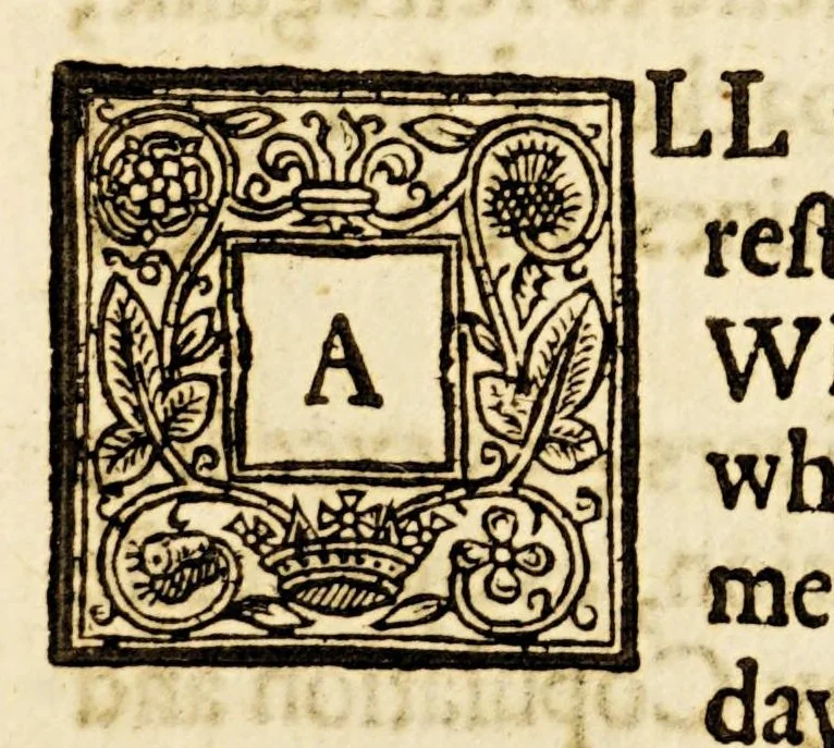 An illustration from Varieties: or, A surveigh of rare and excellent matters, : necessary and delectable for all sorts of persons. Wherein the principall heads of diverse sciences are illustrated, rare secrets of naturall things unfoulded, &c. Digested into five books, whose severall chapters with their contents are to be seene in the table after the epistle dedicatory., 1635, leaf 281