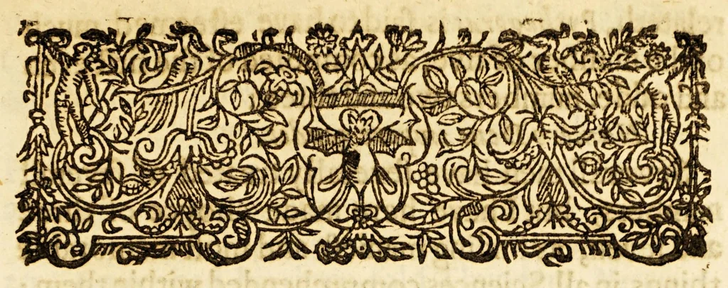 An illustration from Varieties: or, A surveigh of rare and excellent matters, : necessary and delectable for all sorts of persons. Wherein the principall heads of diverse sciences are illustrated, rare secrets of naturall things unfoulded, &c. Digested into five books, whose severall chapters with their contents are to be seene in the table after the epistle dedicatory., 1635, leaf 299