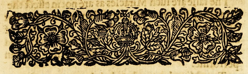 An illustration from Varieties: or, A surveigh of rare and excellent matters, : necessary and delectable for all sorts of persons. Wherein the principall heads of diverse sciences are illustrated, rare secrets of naturall things unfoulded, &c. Digested into five books, whose severall chapters with their contents are to be seene in the table after the epistle dedicatory., 1635, leaf 319