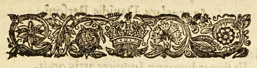 An illustration from Varieties: or, A surveigh of rare and excellent matters, : necessary and delectable for all sorts of persons. Wherein the principall heads of diverse sciences are illustrated, rare secrets of naturall things unfoulded, &c. Digested into five books, whose severall chapters with their contents are to be seene in the table after the epistle dedicatory., 1635, leaf 65