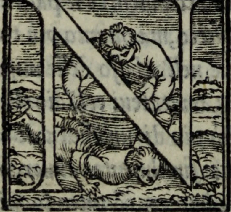 An illustration from Varii componimenti di M. Hort. Lando, nvovamenti venvti in lvce : Quesiti amorosi, con le risposte. Dialogo intitolato Ulisse. Ragionamento occorso tra un cavalliere, & un'huomo soletario. Alcune novelle. Alcune favole. Alcuni scroppoli, che sogliono occorrere nella cottidiana nostra lingua, 1552, leaf 205