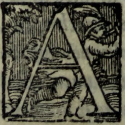 An illustration from Varii componimenti di M. Hort. Lando, nvovamenti venvti in lvce : Quesiti amorosi, con le risposte. Dialogo intitolato Ulisse. Ragionamento occorso tra un cavalliere, & un'huomo soletario. Alcune novelle. Alcune favole. Alcuni scroppoli, che sogliono occorrere nella cottidiana nostra lingua, 1552, leaf 211