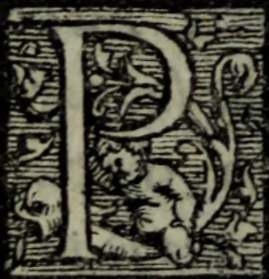 An illustration from Varii componimenti di M. Hort. Lando, nvovamenti venvti in lvce : Quesiti amorosi, con le risposte. Dialogo intitolato Ulisse. Ragionamento occorso tra un cavalliere, & un'huomo soletario. Alcune novelle. Alcune favole. Alcuni scroppoli, che sogliono occorrere nella cottidiana nostra lingua, 1552, leaf 219