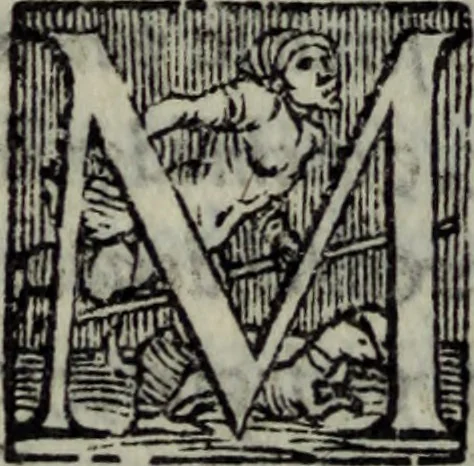 An illustration from Varii componimenti di M. Hort. Lando, nvovamenti venvti in lvce : Quesiti amorosi, con le risposte. Dialogo intitolato Ulisse. Ragionamento occorso tra un cavalliere, & un'huomo soletario. Alcune novelle. Alcune favole. Alcuni scroppoli, che sogliono occorrere nella cottidiana nostra lingua, 1552, leaf 225
