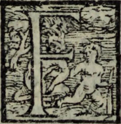 An illustration from Varii componimenti di M. Hort. Lando, nvovamenti venvti in lvce : Quesiti amorosi, con le risposte. Dialogo intitolato Ulisse. Ragionamento occorso tra un cavalliere, & un'huomo soletario. Alcune novelle. Alcune favole. Alcuni scroppoli, che sogliono occorrere nella cottidiana nostra lingua, 1552, leaf 265