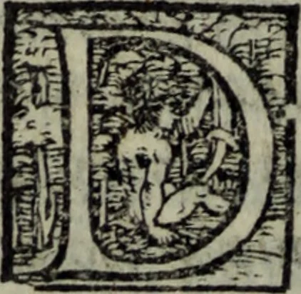 An illustration from Varii componimenti di M. Hort. Lando, nvovamenti venvti in lvce : Quesiti amorosi, con le risposte. Dialogo intitolato Ulisse. Ragionamento occorso tra un cavalliere, & un'huomo soletario. Alcune novelle. Alcune favole. Alcuni scroppoli, che sogliono occorrere nella cottidiana nostra lingua, 1552, leaf 279