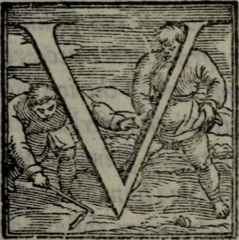 An illustration from Varii componimenti di M. Hort. Lando, nvovamenti venvti in lvce : Quesiti amorosi, con le risposte. Dialogo intitolato Ulisse. Ragionamento occorso tra un cavalliere, & un'huomo soletario. Alcune novelle. Alcune favole. Alcuni scroppoli, che sogliono occorrere nella cottidiana nostra lingua, 1552, leaf 84