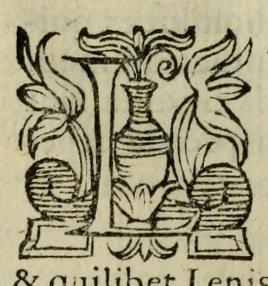 An illustration from Varii de natvralibvs rebvs libelli, 1590, leaf 316