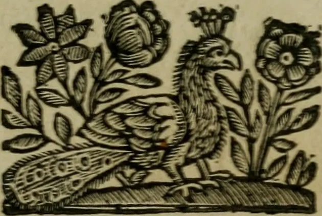 An illustration from Varii, e veri ritratti della morte : disegnati in immagini, ed espressi in essempij al peccatore duro di cuore, 1675, leaf 74