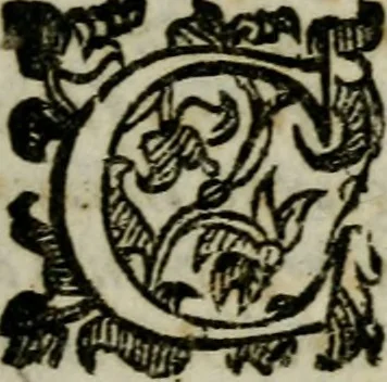 An illustration from Varij ragionamenti historici, e politici, 1623, leaf 20