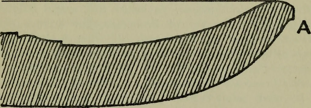An illustration from Vasari on technique; being the introduction to the three arts of design, architecture, sculpture and painting, prefixed to the Lives of the most excellent painters, sculptors and architects, 1907, leaf 150