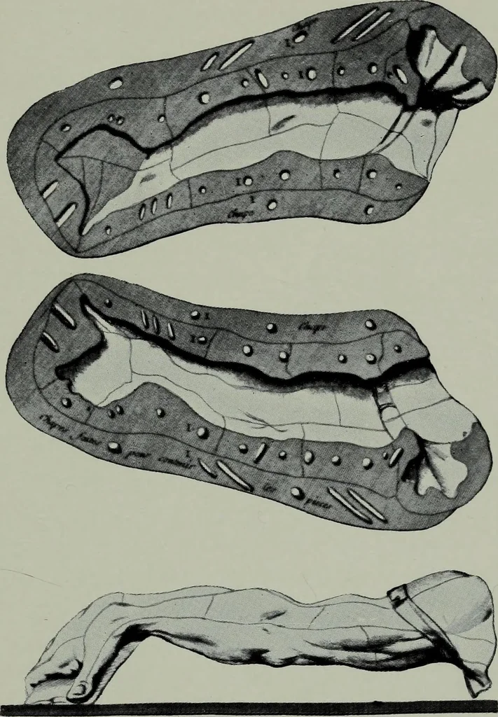 An illustration from Vasari on technique; being the introduction to the three arts of design, architecture, sculpture and painting, prefixed to the Lives of the most excellent painters, sculptors and architects, 1907, leaf 206