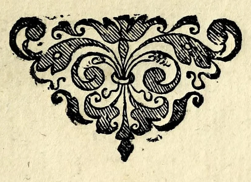 An illustration from Vaso di uerità : nel quale si contengono dodeci resolutioni uere a dodeci importanti dubbi, fatti intorno all'origine, nascita, uita, opere, e morte dell'Antichristo, 1597, leaf 139