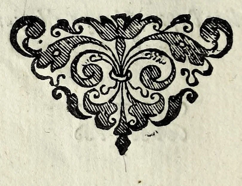 An illustration from Vaso di uerità : nel quale si contengono dodeci resolutioni uere a dodeci importanti dubbi, fatti intorno all'origine, nascita, uita, opere, e morte dell'Antichristo, 1597, leaf 14