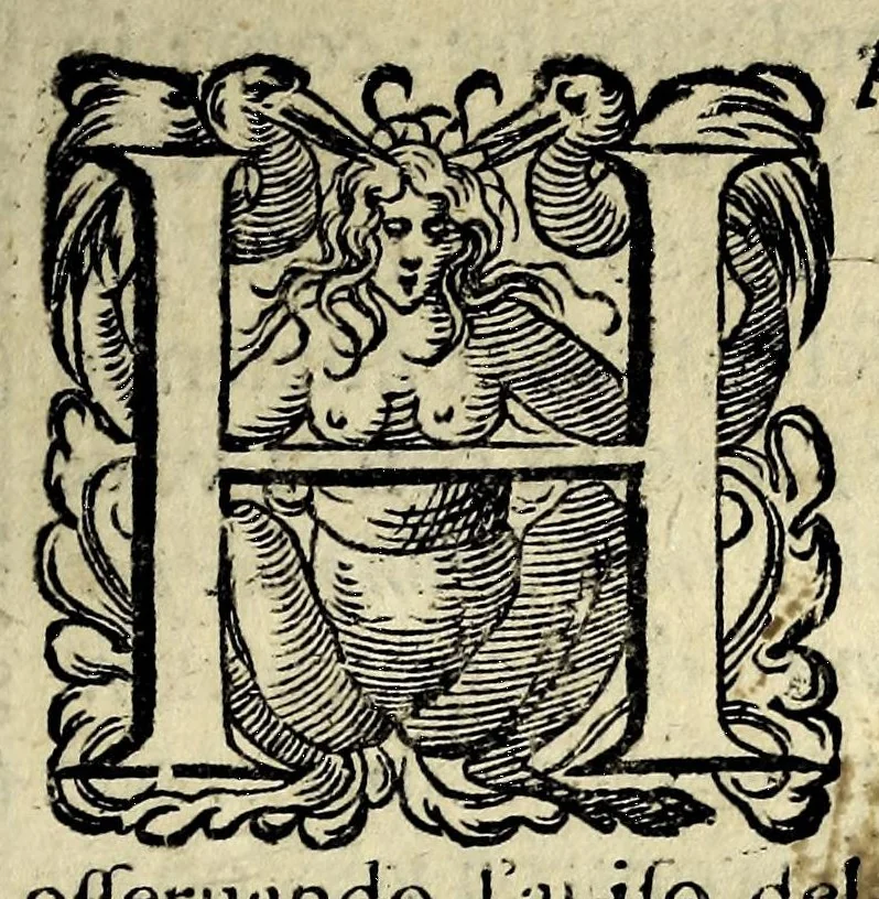An illustration from Vaso di uerità : nel quale si contengono dodeci resolutioni uere a dodeci importanti dubbi, fatti intorno all'origine, nascita, uita, opere, e morte dell'Antichristo, 1597, leaf 29