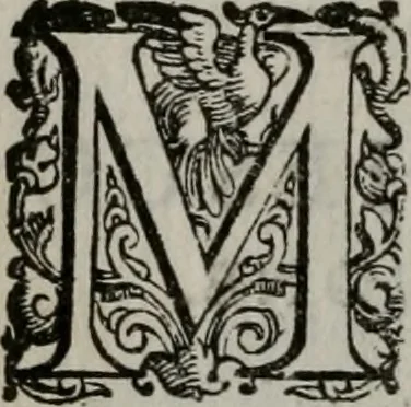 An illustration from Vaticinia, siue Prophetiae abbatis Ioachimi & Anselmi episcopi Marsicani : cum imaginibus aere incisis, correctione et pulcritudine, plurium manuscriptorum exemplariu[m] op[er]e, et uariaru[m] imaginu[m] tabulis, et delineationibu[s], alijs ante hac impressis longè praestantiora : quibus Rota, et Oraculum turcicum maxime considerationis adiecta sunt : vnà cum praefatione, et adnotationibus Paschalini Regiselmi = Vaticinii, ouero Profetie dell'abbate Gioachino, & di Anselmo vescouo di Marsico : con l'imagini intagliate in rame, di correttione, et uaghezza maggiore, che gl'atri sin' hora stampati, per l'aggiuto di molti exemplari scritti à penna, et per le pitture, et disegni di uarie imagini : à qualli è aggionta una Ruota, et un' oracolo Turchesco di grandissima co[n]sideratione : insieme con la prefatione, et annotationi di Pasqualino Regiselmo, 1589, leaf 101