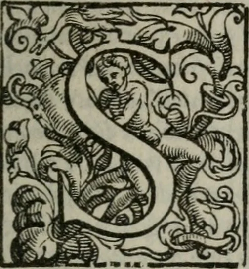 An illustration from Vaticinia, siue Prophetiae abbatis Ioachimi & Anselmi episcopi Marsicani : cum imaginibus aere incisis, correctione et pulcritudine, plurium manuscriptorum exemplariu[m] op[er]e, et uariaru[m] imaginu[m] tabulis, et delineationibu[s], alijs ante hac impressis longè praestantiora : quibus Rota, et Oraculum turcicum maxime considerationis adiecta sunt : vnà cum praefatione, et adnotationibus Paschalini Regiselmi = Vaticinii, ouero Profetie dell'abbate Gioachino, & di Anselmo vescouo di Marsico : con l'imagini intagliate in rame, di correttione, et uaghezza maggiore, che gl'atri sin' hora stampati, per l'aggiuto di molti exemplari scritti à penna, et per le pitture, et disegni di uarie imagini : à qualli è aggionta una Ruota, et un' oracolo Turchesco di grandissima co[n]sideratione : insieme con la prefatione, et annotationi di Pasqualino Regiselmo, 1589, leaf 16