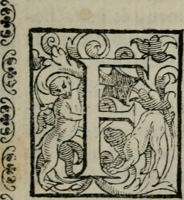 An illustration from Vaticinia, siue Prophetiae abbatis Ioachimi & Anselmi episcopi Marsicani : cum imaginibus aere incisis, correctione et pulcritudine, plurium manuscriptorum exemplariu[m] op[er]e, et uariaru[m] imaginu[m] tabulis, et delineationibu[s], alijs ante hac impressis longè praestantiora : quibus Rota, et Oraculum turcicum maxime considerationis adiecta sunt : vnà cum praefatione, et adnotationibus Paschalini Regiselmi = Vaticinii, ouero Profetie dell'abbate Gioachino, & di Anselmo vescouo di Marsico : con l'imagini intagliate in rame, di correttione, et uaghezza maggiore, che gl'atri sin' hora stampati, per l'aggiuto di molti exemplari scritti à penna, et per le pitture, et disegni di uarie imagini : à qualli è aggionta una Ruota, et un' oracolo Turchesco di grandissima co[n]sideratione : insieme con la prefatione, et annotationi di Pasqualino Regiselmo, 1589, leaf 20